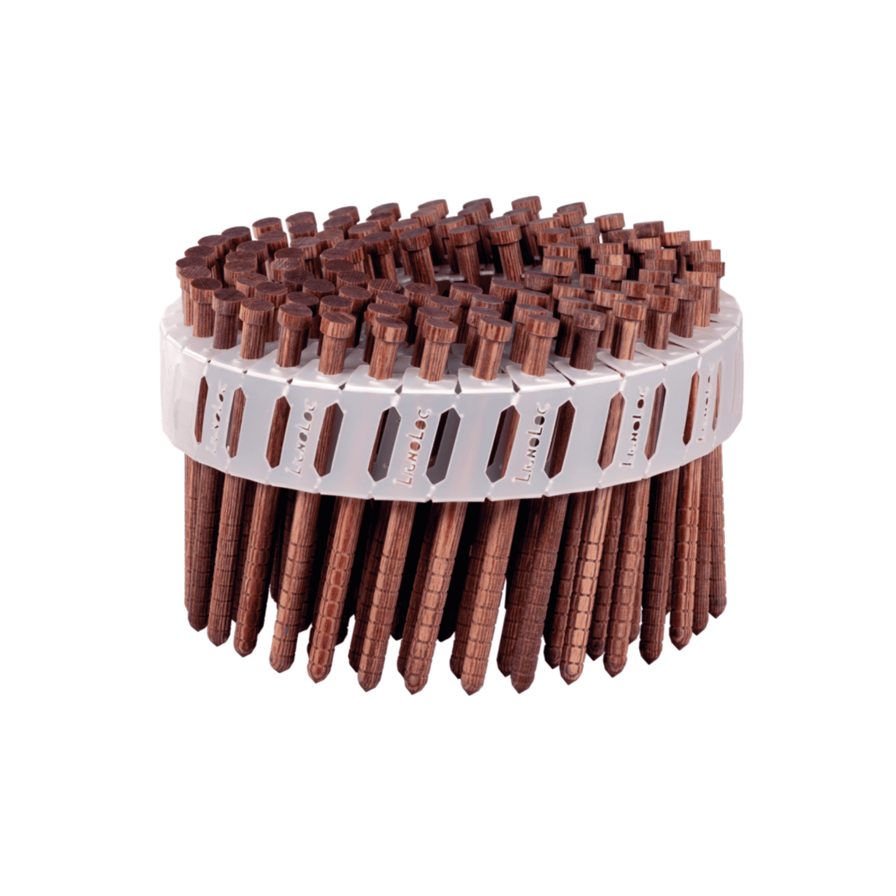 Lignoloc_Coilnaegel_Kopf